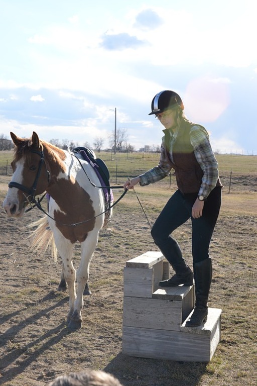 Horse riding