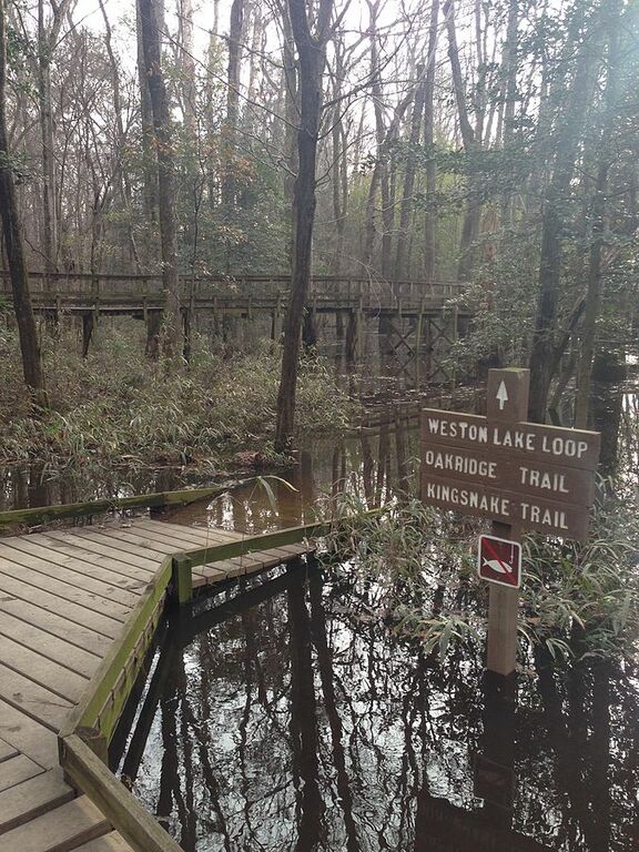 Congaree National Park winter 2