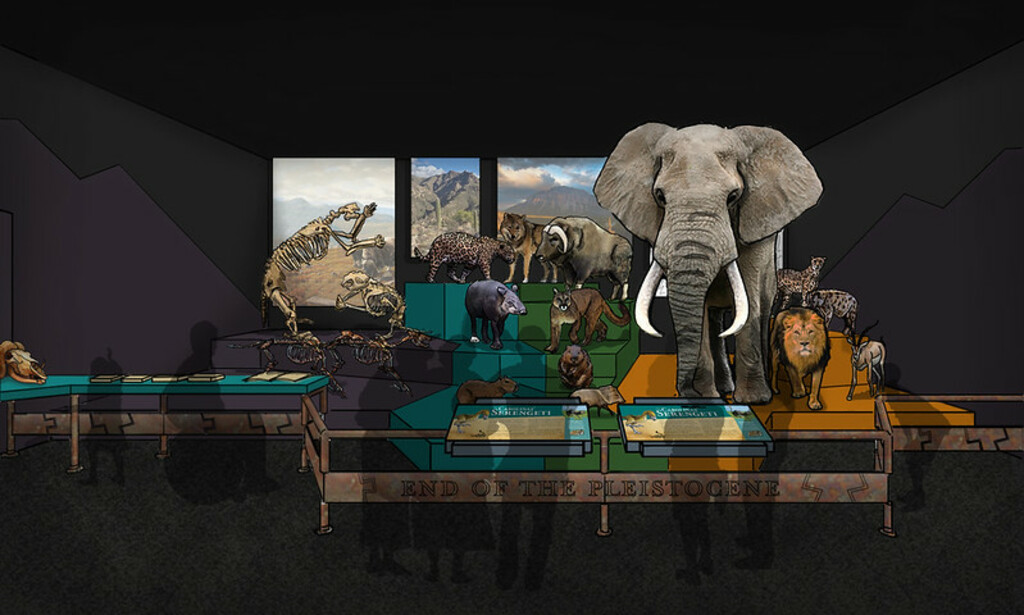 End of Pleistocene 2