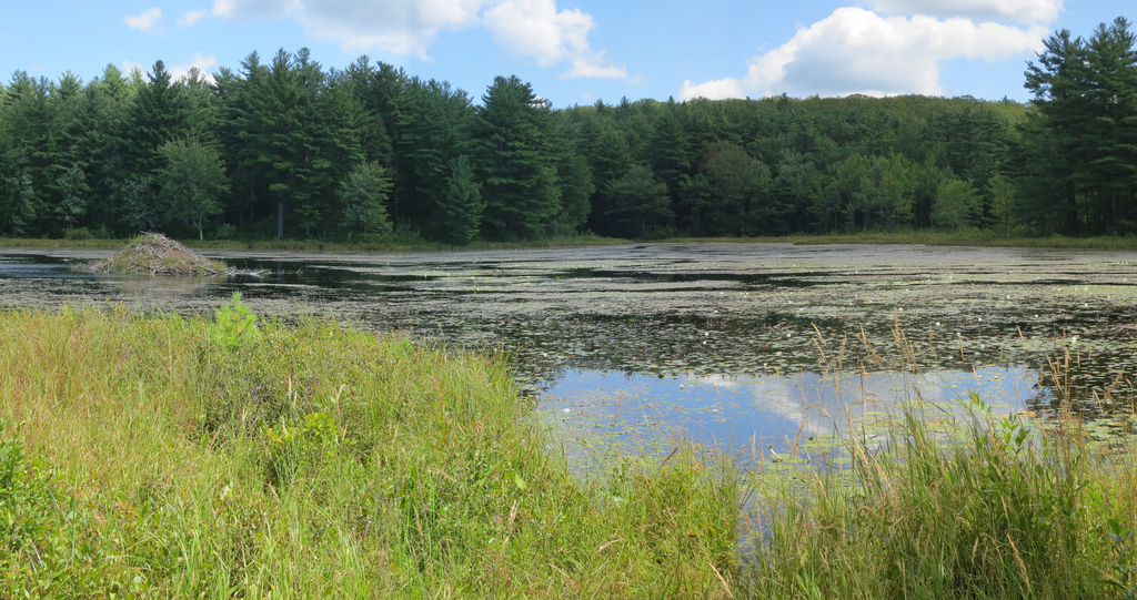 Ruggles Pond