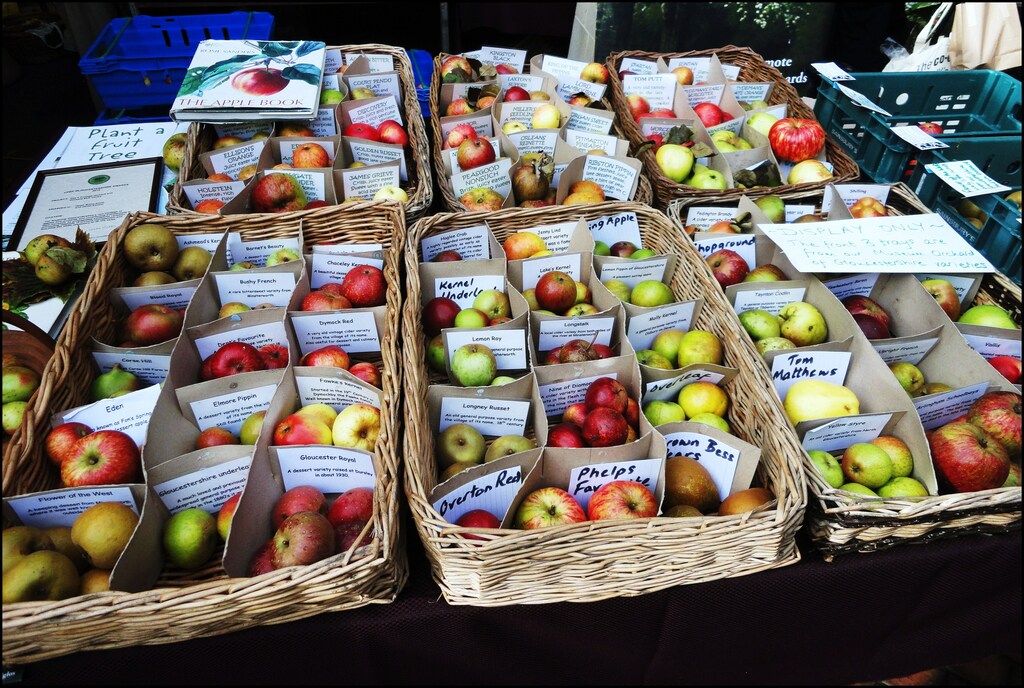 Stroud Farmers' Market ... apple selection. - Flickr - BazzaDaRambler