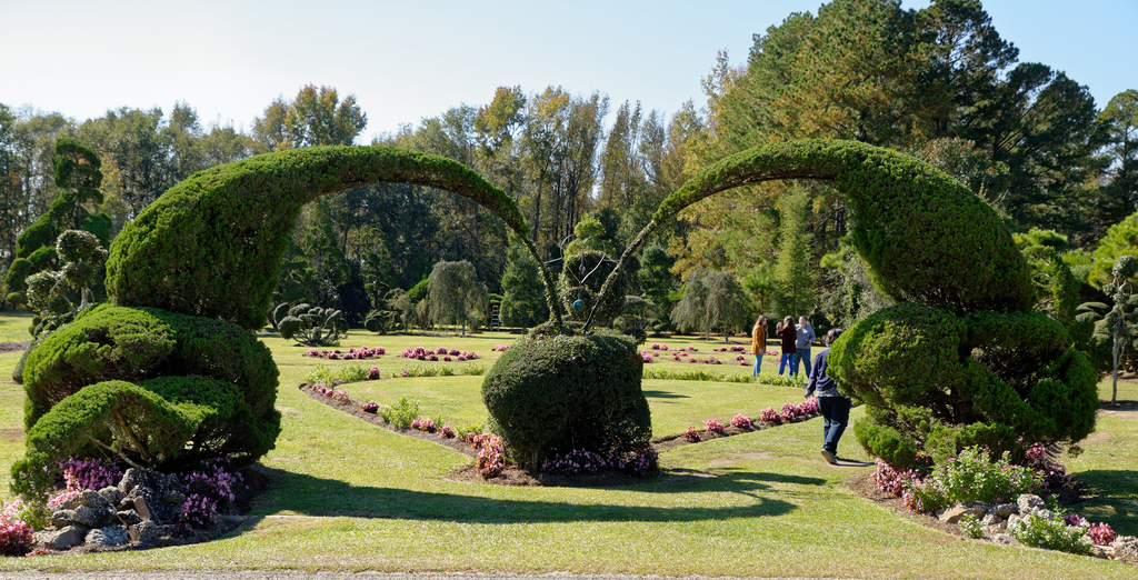 Pearl Fryar Topiary Garden, Bishopville