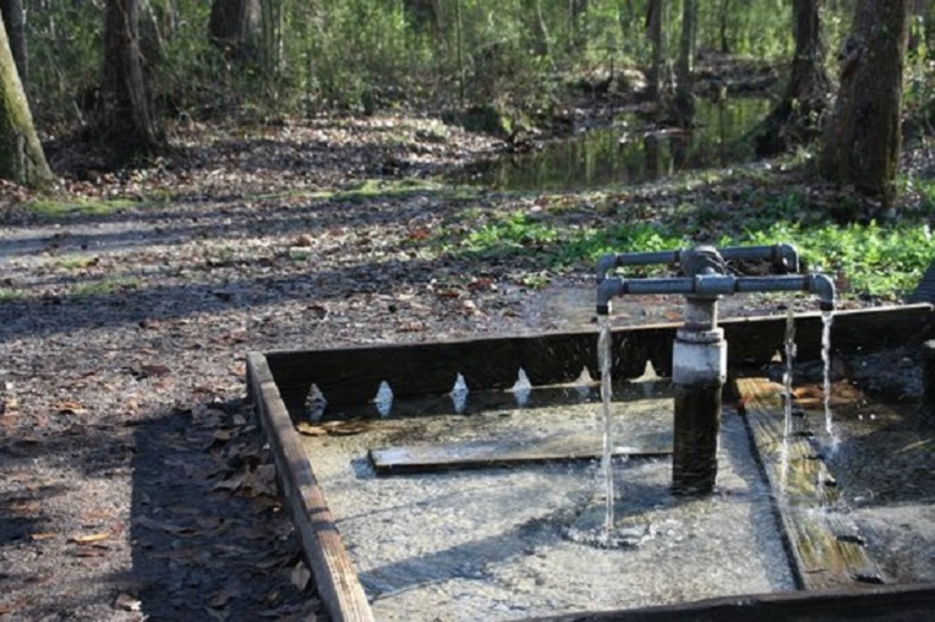 Best Things To Do In Barnwell, South Carolina Trip101