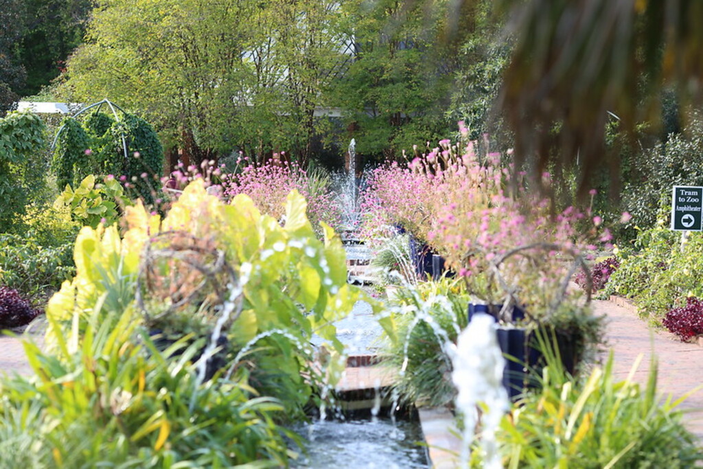 Explore These 10 Places In Leesville, South Carolina Trip101