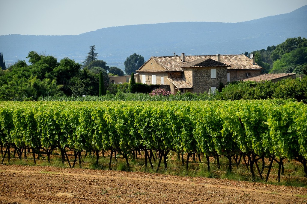 Winery