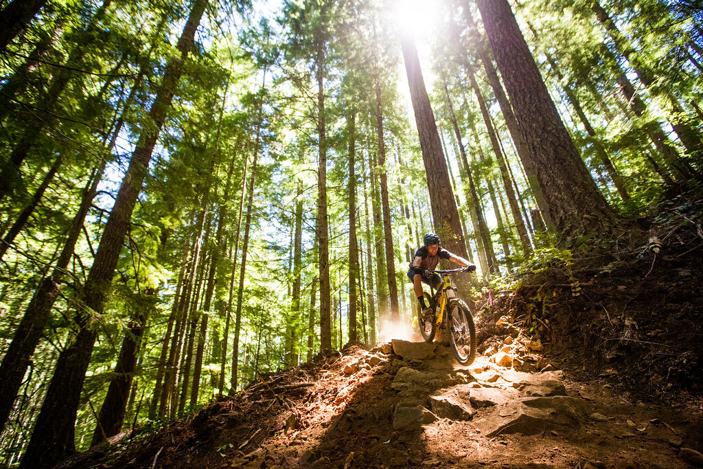 Alsea Falls Trail System