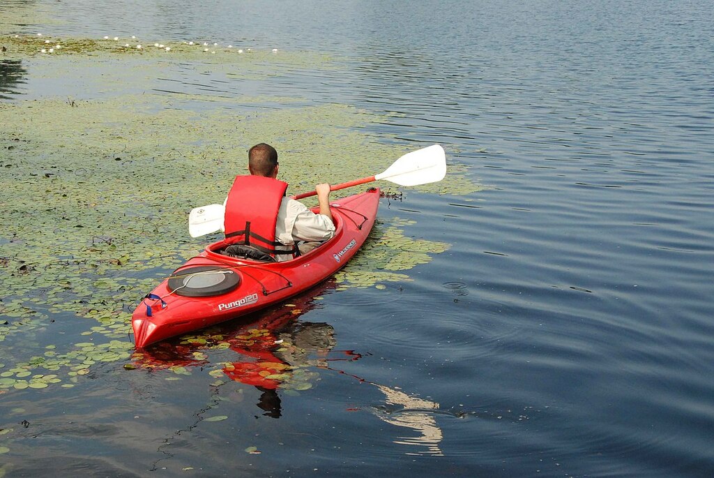 Sportist relaxing canoe ride on a quiet river