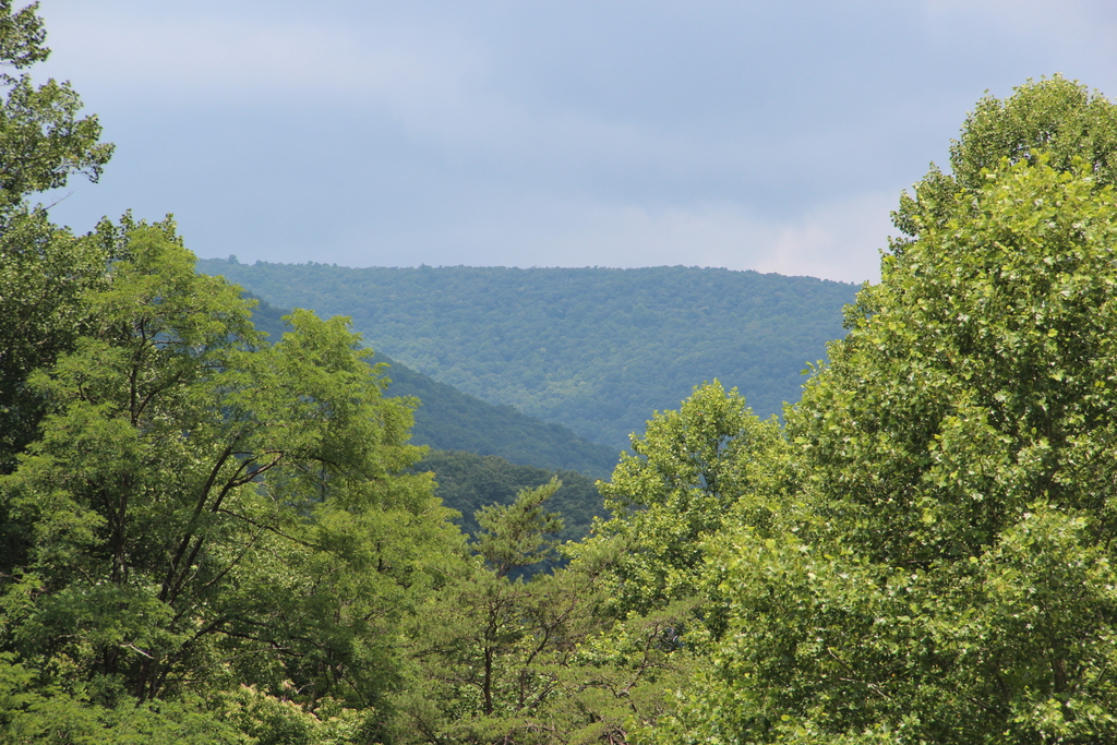 Big Bald Mountain - panoramio