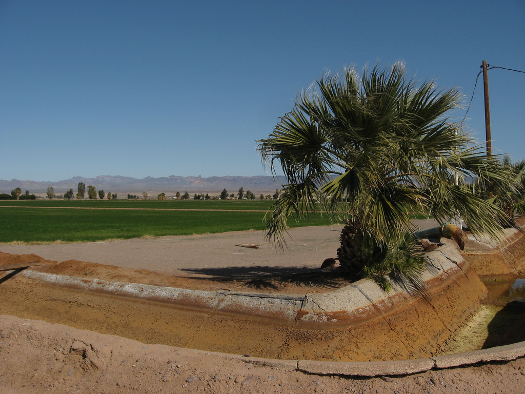 7 Best Things To Do In Mohave (Mojave) Valley, Arizona Trip101