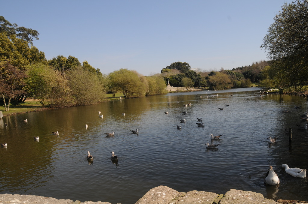 Parque da Cidade do Porto