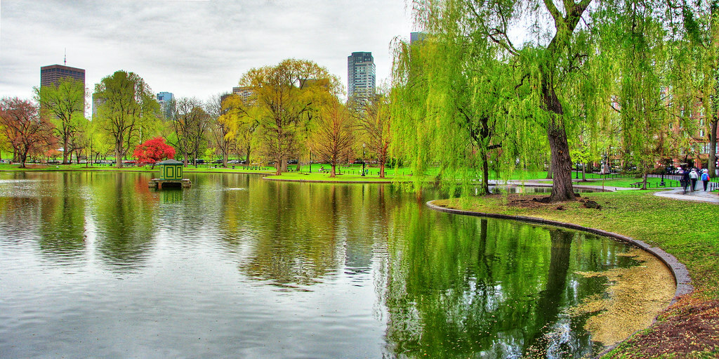 Boston Public Gardens Panorama