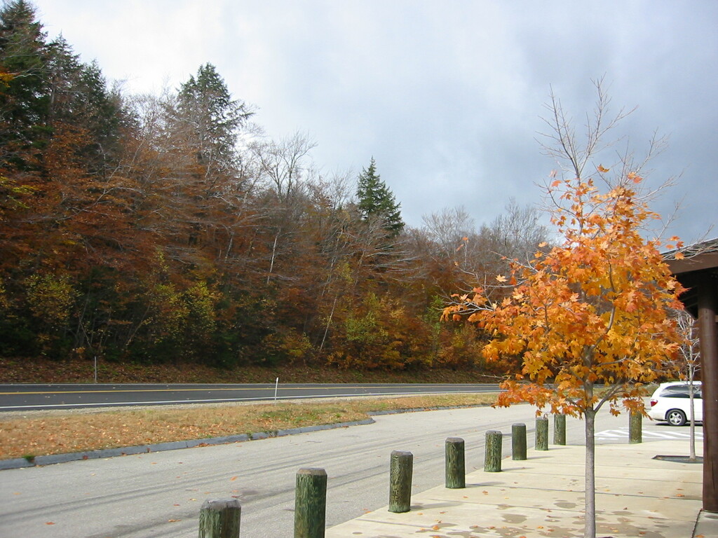 Kancamagus Highway 03