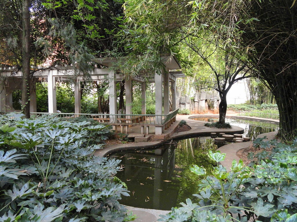 Pond - Yunnan University - DSC01832