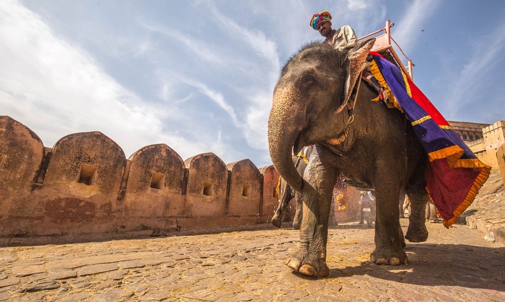 Elephant Ride