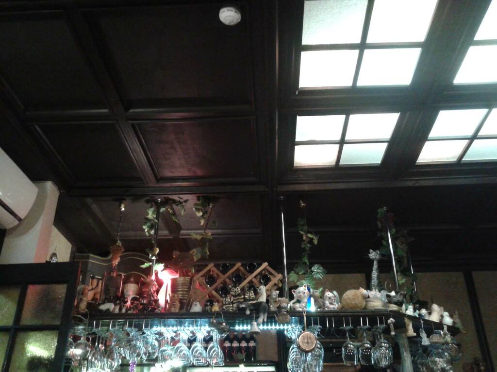 Interior of Cat Cafe