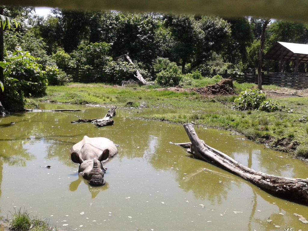 Bardia National Park, Heaven in the earth