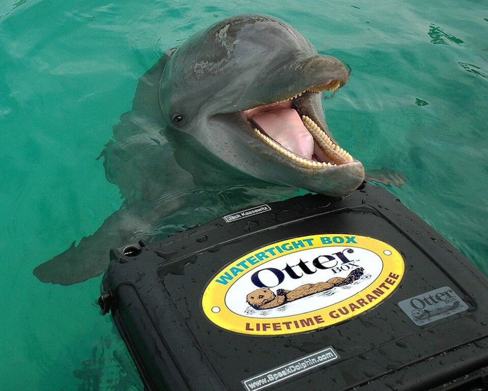 Isla Mujeres, Mexico