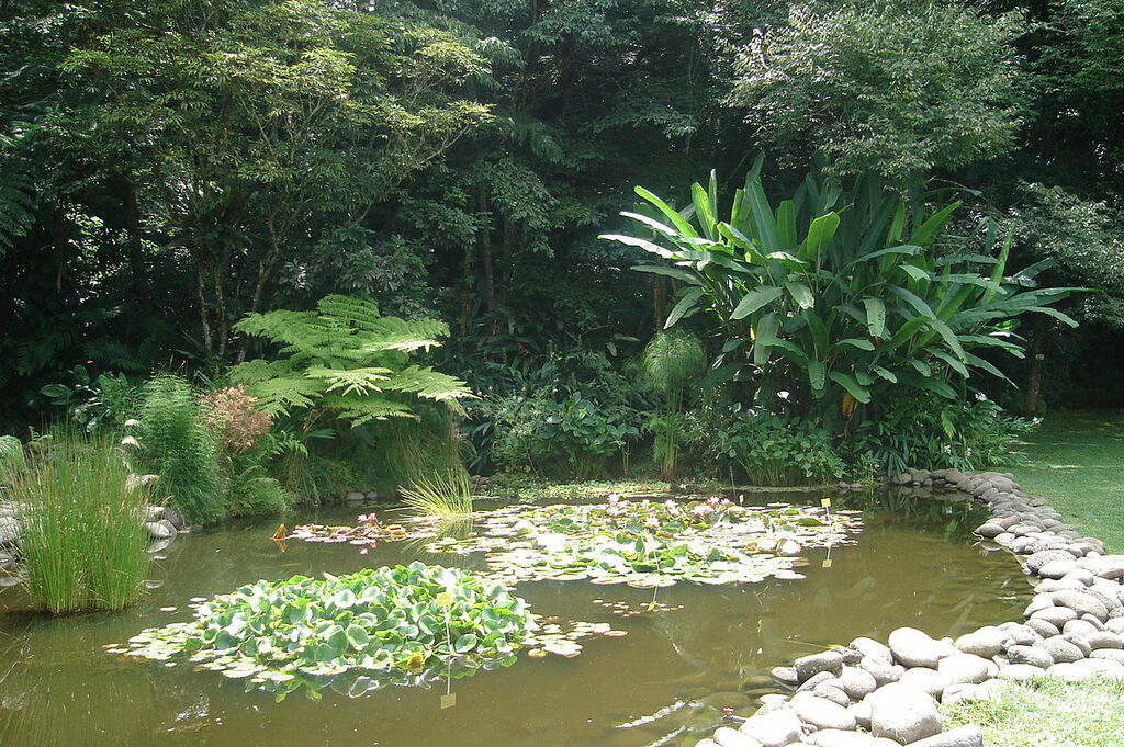 JardinBotanicoFJC