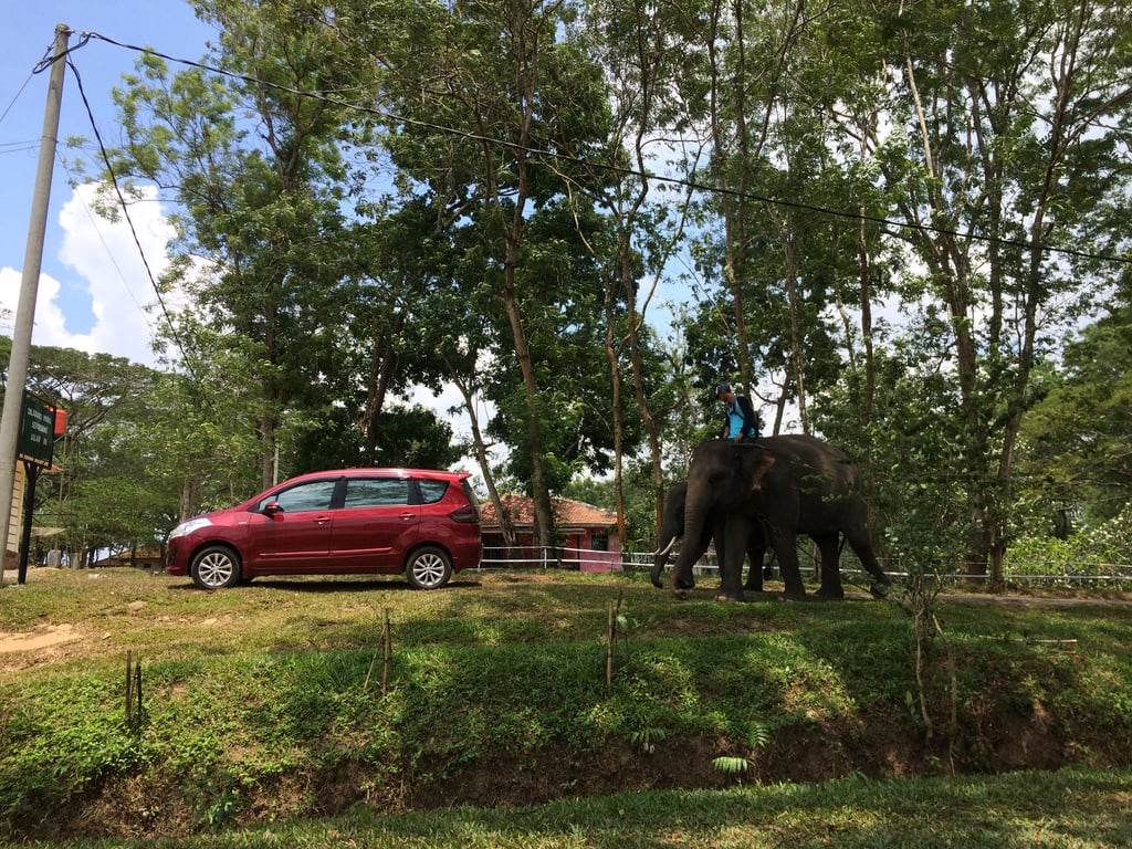 Taman Nasional Way Kambas Lampung Timur