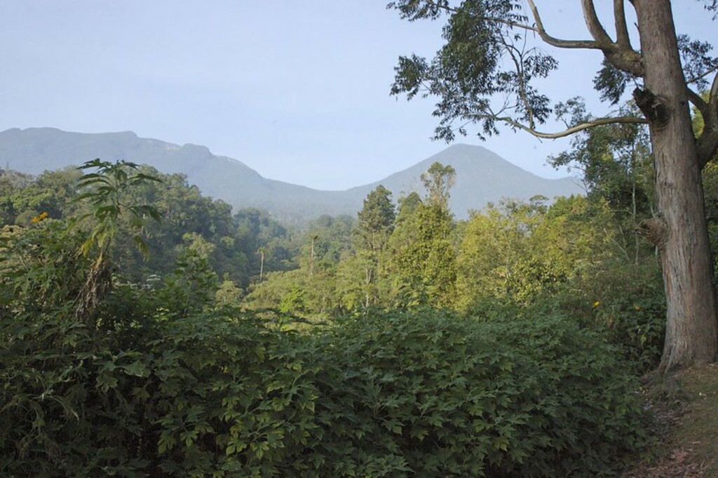 Gunung Gede Pangrango National Park