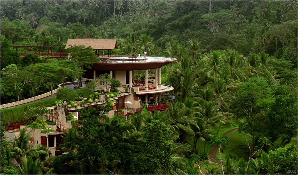 Bali Urwald SvG