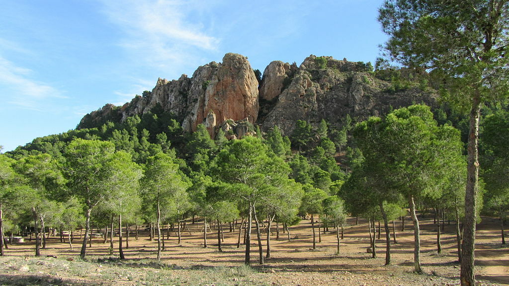 Crestadelgallo