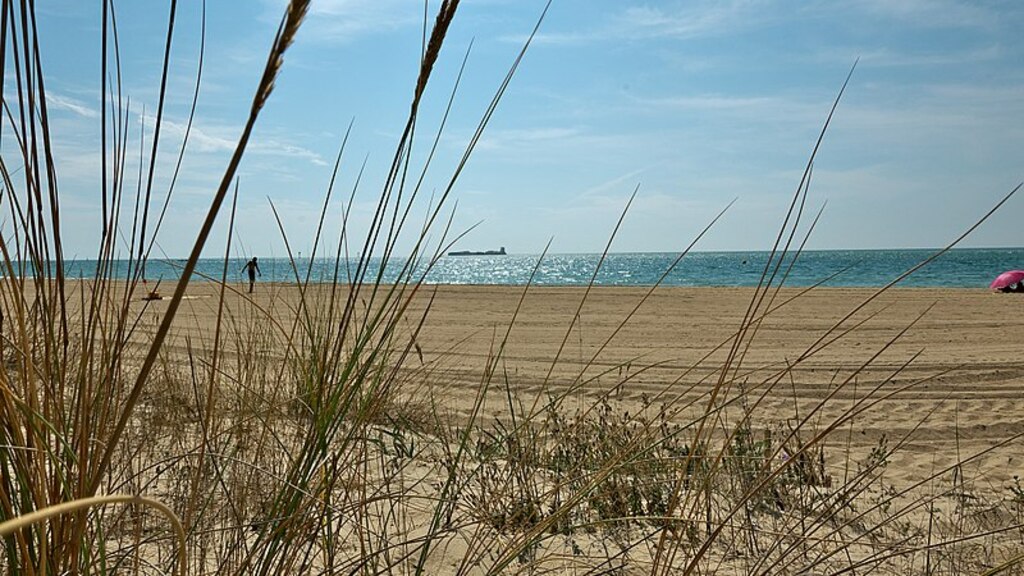 Islote de Sancti Petri (Chiclana)