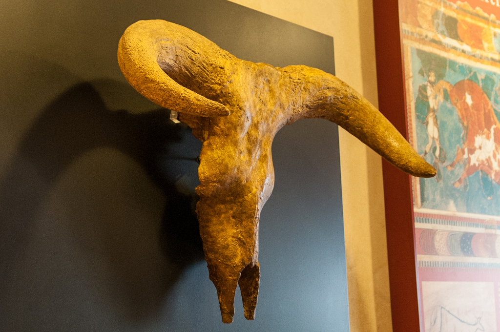 Museum (Museo Taurino) at Plaza de Toros de Ronda (7077351001)