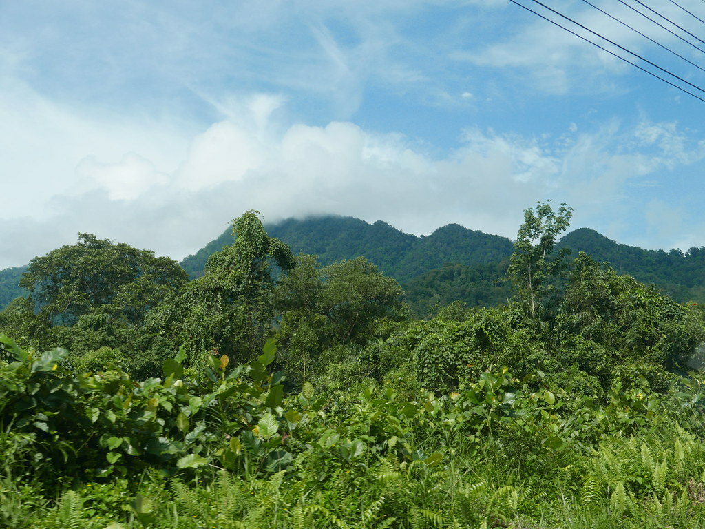 20161129_6152 Matang Road to Kubah National Park