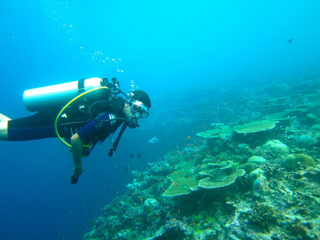 Diving 