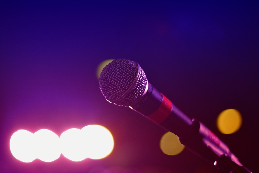 Microphone for Karaoke night