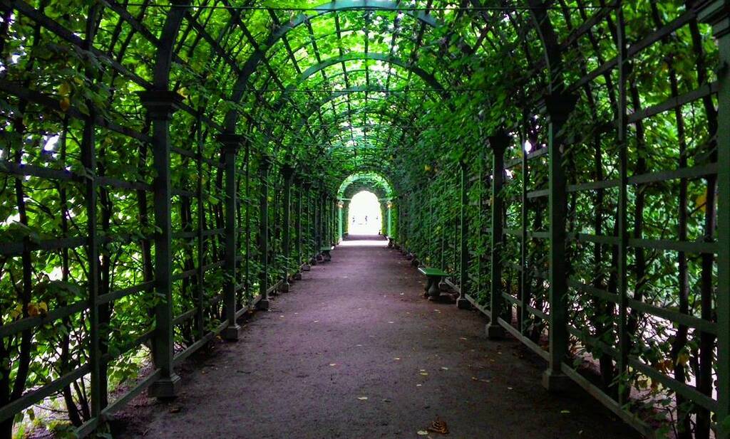 beautiful parks and gardens to visit at st. petersburg | summer garden