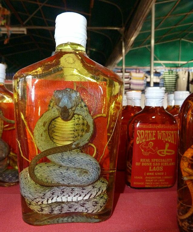 Snake wine P1110605