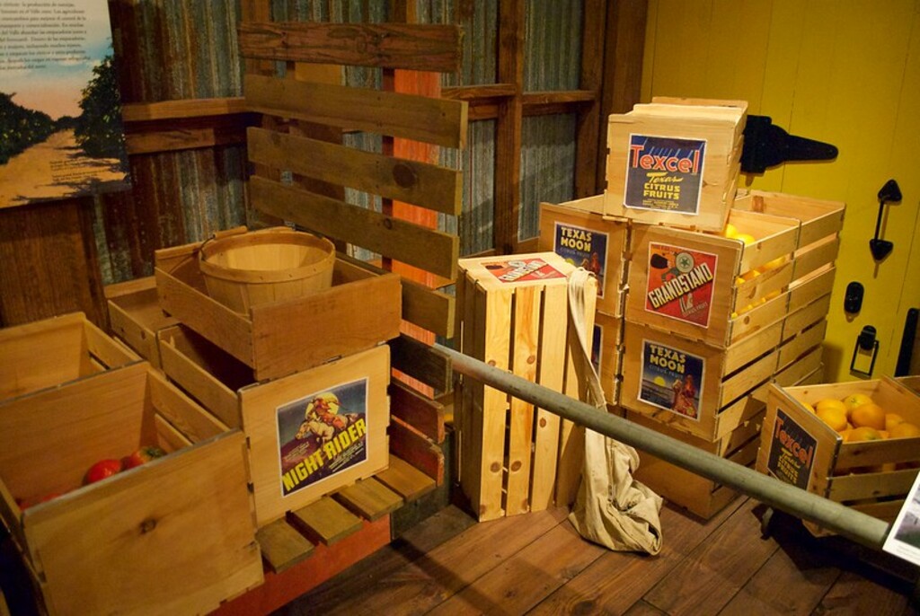 TX Edinburg_Museum of S TX Feb 2018  22547