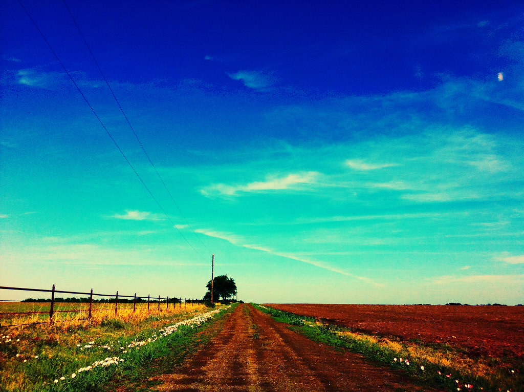 Lonely Travels Down a Forlorn Path...