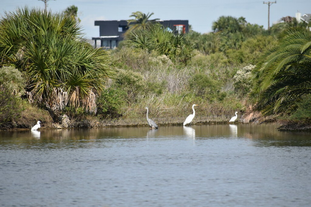 Galveston Island State Park