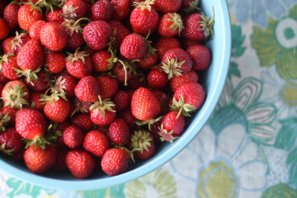 strawberry picking