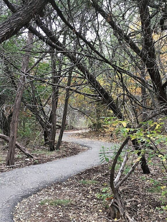 Friedrich Wilderness Park in San Antonio, TX