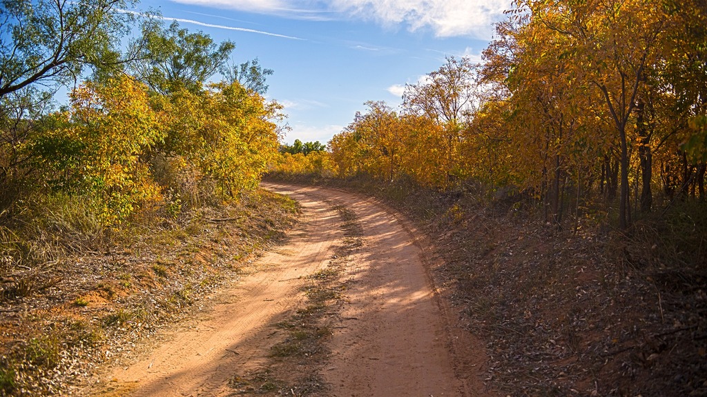 Texas trail