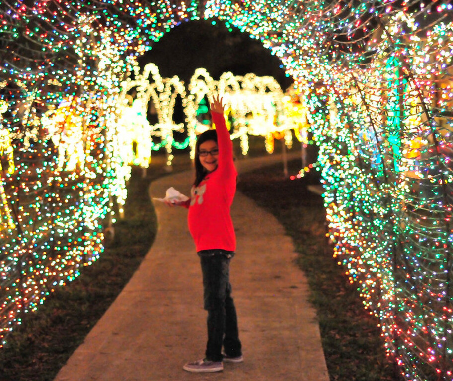 Dickinson Festival of Lights