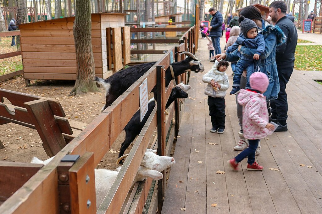 Petting zoo