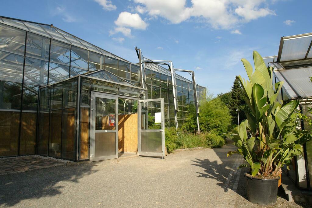 Chemnitz-Botanischer-Garten