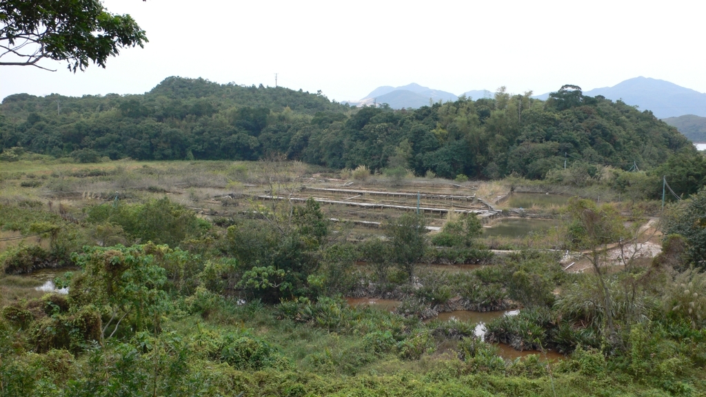 Abandoned Salt Farm in Yim Tin Tsai