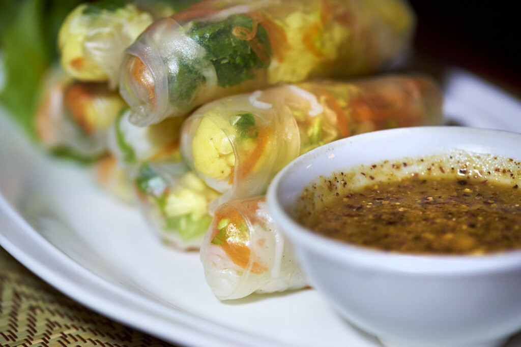 Fresh spring rolls