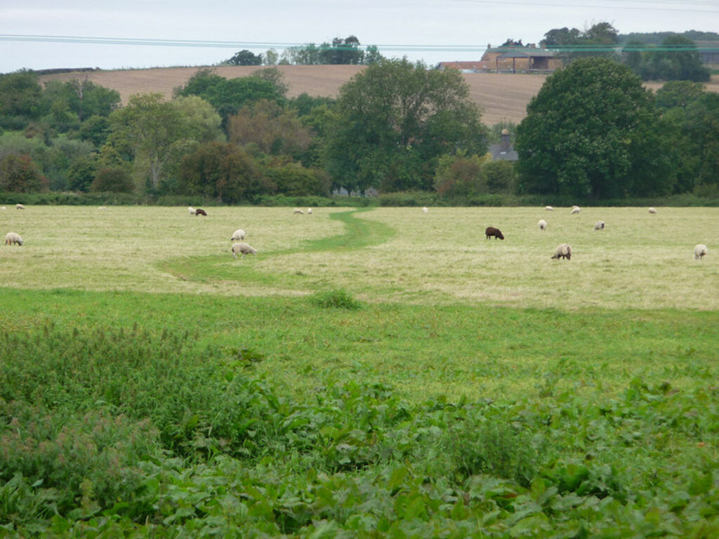 Path across Severn Ham - geograph.org.uk - 1729173