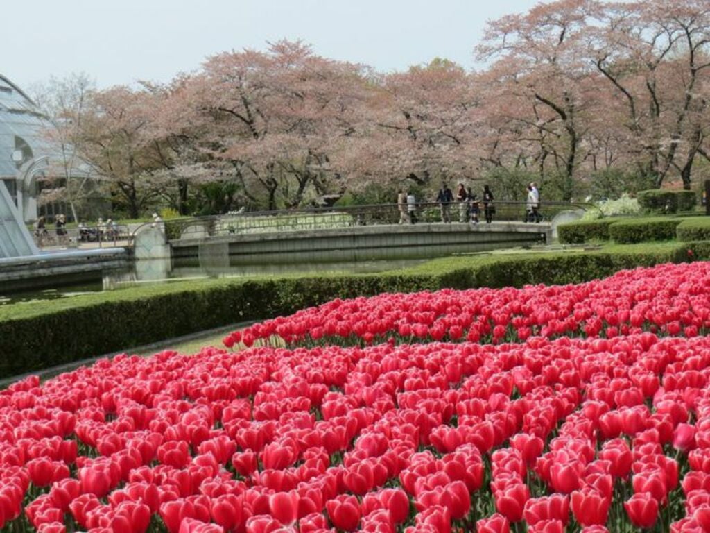 Kyoto Botanical Garden