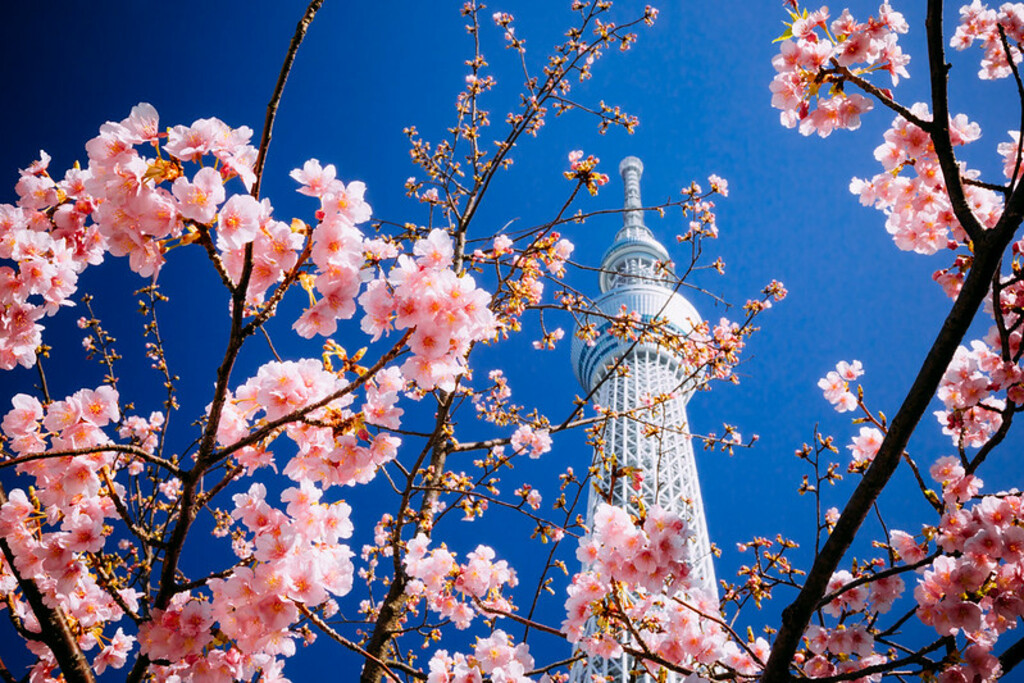 Tokyo Skytree_11