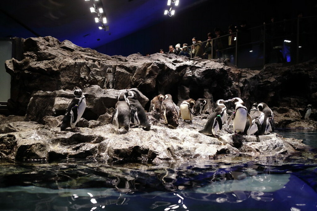 20151226-(SUMIDA AQUARIUM)