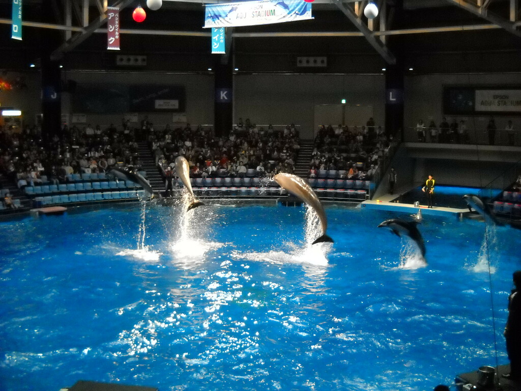 EPSON AQUA STADIUM