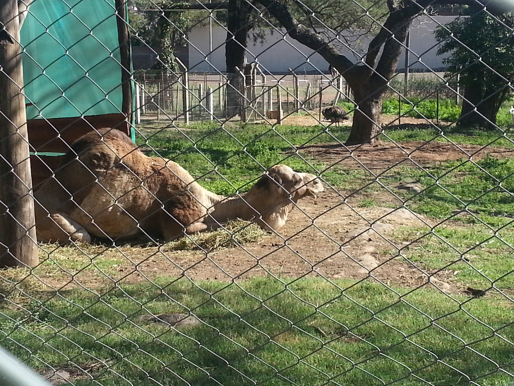 Zoológico Salto